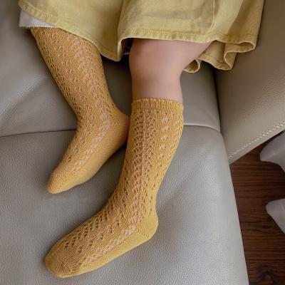 China Breathable Toddler Lace Socks Baby Socks Designer Cotton Socks for sale