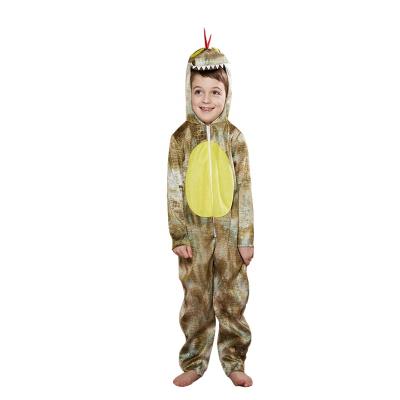 China POLYESTER Halloween Costumes For Kids Children Cute Hooded Jumpsuit Boys Dinosaur Carnival Mascot Cosplay Costume for sale