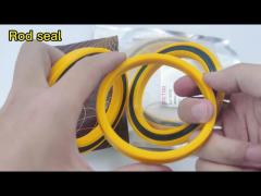 Rod Seal Kits 1