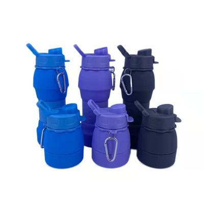 China DL238 Promotional Collapsible Gifts Silicone Sports Water Bottle With Carabiners And Anti-Slip Sleeve for sale