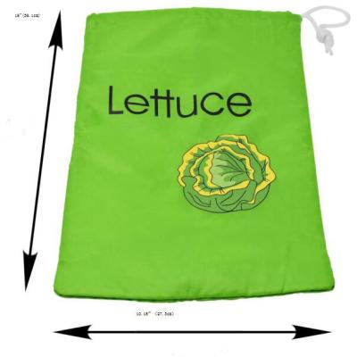 China Largest workable size: 38.1*27.3CM (15*10.75”).lettuce keep cool bag (SW200643) for sale