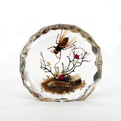 China Home Decoration Wasp Garden Insect Specimen In Acrylic Resin Craft Office Desktop Home Decoration Ready To Ship for sale