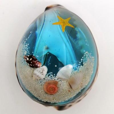 China Souvenir Seashell Resin Craft With Transparent Starfish Ocean Beach Souvenir Aquarium Gift for sale