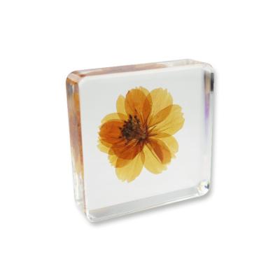 China Global Hot Selling Real Flower Factory Craft Resin Paperweight Glass Paperweight for sale