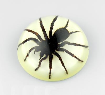 China Hand-crafted 10 minutes quote luminous resin dome tarantula for sale