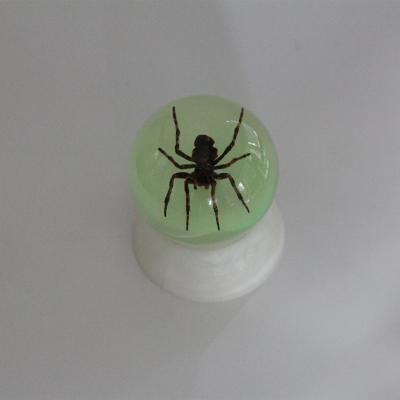 China Europe Ghost Spider Sphere Glass Ball Paperweight for sale