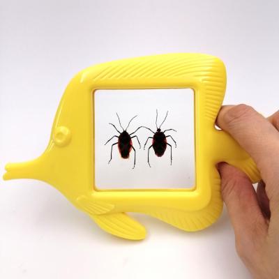 China Learning Hand Holder Specimen Viewer Magnifier Scarabs In Resin School Teaching Resources Pre Play Outdoor Toys Fish Shape for sale