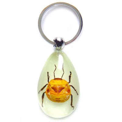 China Artificial Custom Logo Resin Craft Handmade Amber Real Insect Acrylic Key Chain for sale