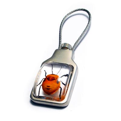 China Acrylic Keytag Business Gift with Real Bug Included for sale