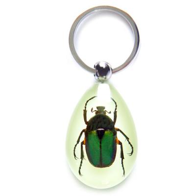 China Hotest Real Artificial Fancy Insects Bug Resin Specimens Key Chain Choice Various Style Custom Make Factory Price for sale