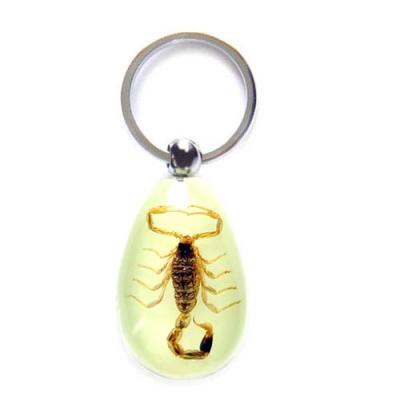 China Souvenir Low Cost For Business Solution Promotion Gift Custom Make Various Insects Choice Resin Specimen Keychains Mix Master Order for sale