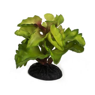 China Viable Wholesale Box Artificial Plastic Reptile Aquatic Plants Ornaments Aquarium Landscaping Decoration for sale