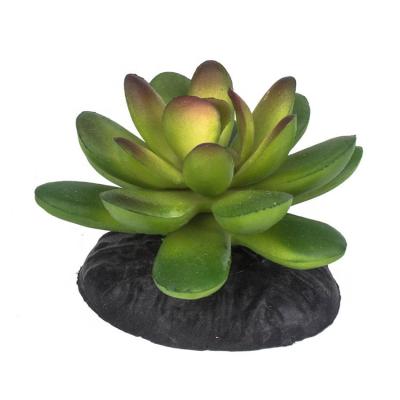 China Xinly Viable Artificial Plastic Plants Aquarium Reptile Fake Succulent Tank Decoration for sale