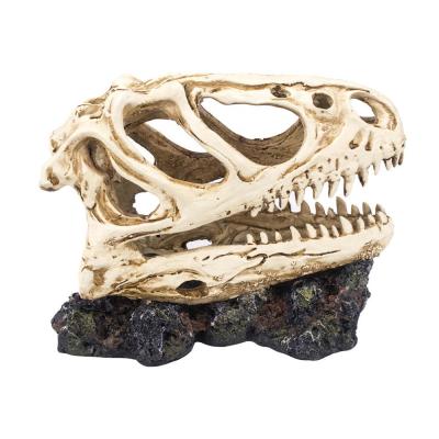 China Viable Head Dinosaur Skull Ornaments Reptile Cave Hiding Landscape For Mini Greenhouse for sale