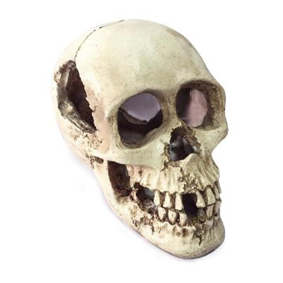 China New Viable Design Hidden Cave Reptile Landscape Aquarium Skull Decoration Ornaments for sale