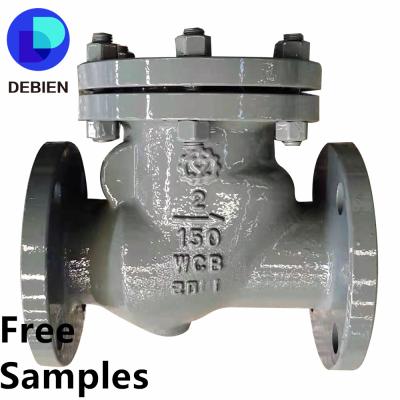 China Sanitary General Precision 3m ss316 Industrial DEBIEN Iron WCB Lockable Malleable Vertical Swing Check Valves Flow Control API for sale