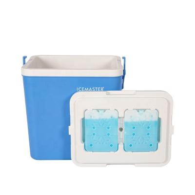 China Hot Selling PU Fashion 26L Capacity Cooler Boxes For Carrying Fish Camping for sale