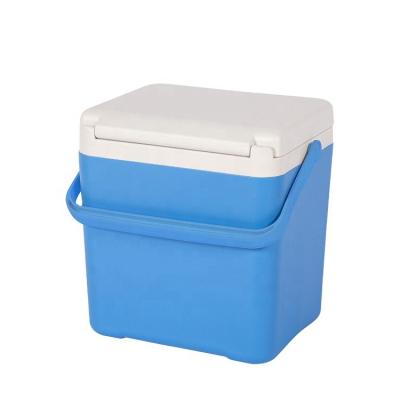 China Hot Sale 14L Capacity Mini Portable Cooler Box Aussie Box Cooler PU Modern Design for sale