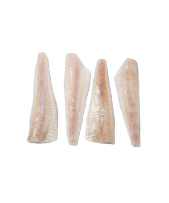 China NATURE Sale High Quality Skinless Boneless White Packed Frozen Pollock for sale