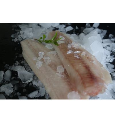 China NATURE Wholesale Natural Good Quality Low Price Deep Sea Hake Fillet Fish Frozen for sale