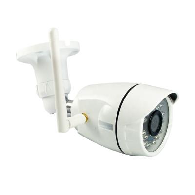 China 1080P Outdoor Wi-Fi IP66 Camera for sale