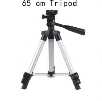 China PORTABLE 3 - section camera / professional lightweight tripod mobile phone tripod for sale