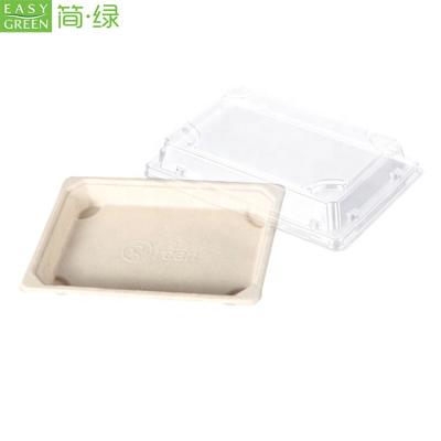 China Biodegradable Easy Green Biodegradable Food Container Store With Clear Lid for sale