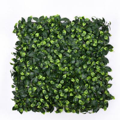 China High Quality Anti-UV Plastic Artificial Grass Wall Green Plant Plant Artificial Wall Panel for sale