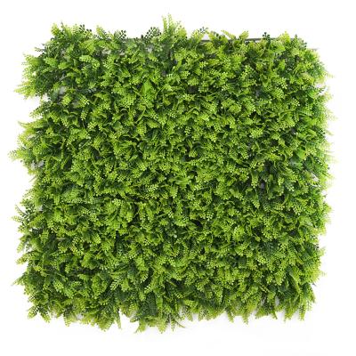 China Contemporary UV Protection Non-Toxic Green Mimosa Plants Fake Wall Artificial Boxwood Panels Plant Wall for sale