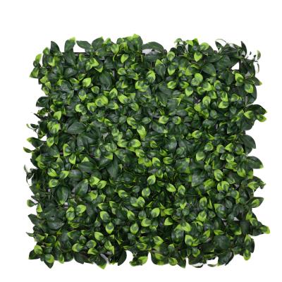 China Eco-friendly Boxwood Plant Wall Panels Hedge Topiary Artificial Plant Backyard Grass for sale