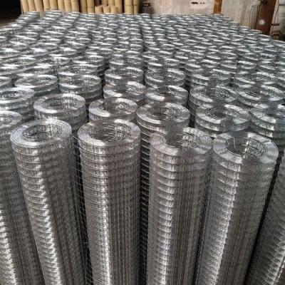 China Rail 1/2 Inch Galvanized Welded Wire Mesh In A Rolls Used For Wire Basket for sale