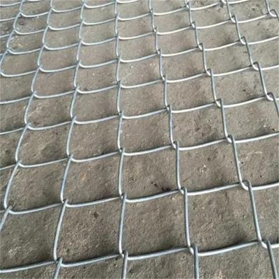 China Electric Fence Mesh Galvanized Aluminum Plastic Garden Chain Link Fence For Farm Iron Horse Privacy for sale