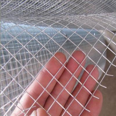 China Fence Hot Dipped Galvanized Welded Wire Mesh From Anping for sale