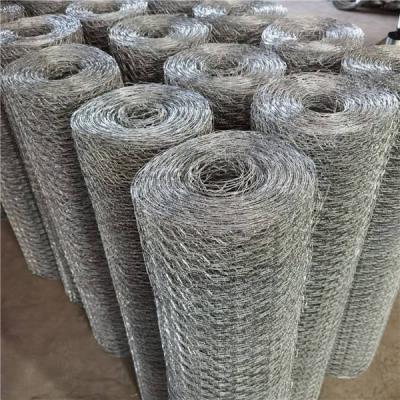 China Straight Twist Amazon Choice PVC Coated Or Galvanized Hexagonal Chicken Wire Mesh For Poultry (HWM) for sale