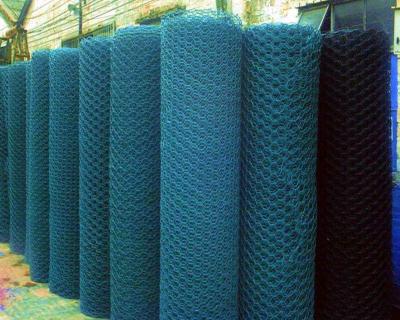 China Straight Twist PVC Coated Galvanized Hexagonal Chicken Wire Mesh Wire Netting Gabion Mesh for sale