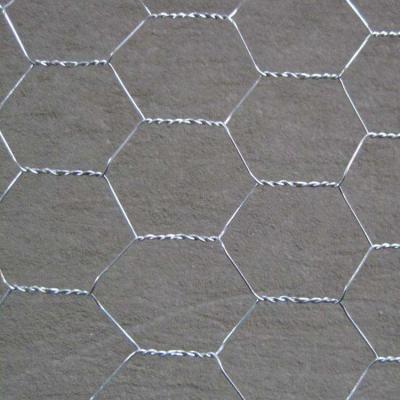 China Straight twist hexagonal wire mesh for chicken wire / wire mesh lowes for sale