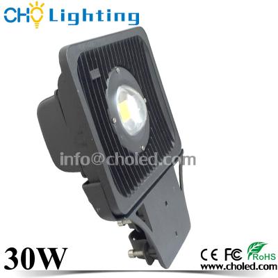 China CHO Lighting AC85-265V 30W COB IP65 Outdoor LED Street/Road/Garden/Street Light for sale