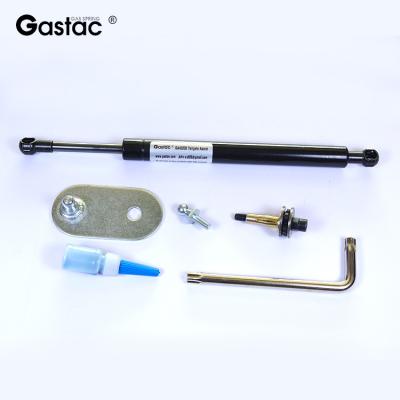 China Cylinder Tailgate Gas Strut for sale