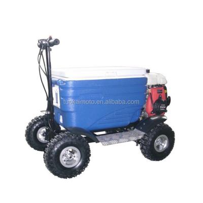 China 50cc Cooler Rubber Gas Scooter 43cc EPA Cooler Scooter For Adult (TKS-S43) for sale