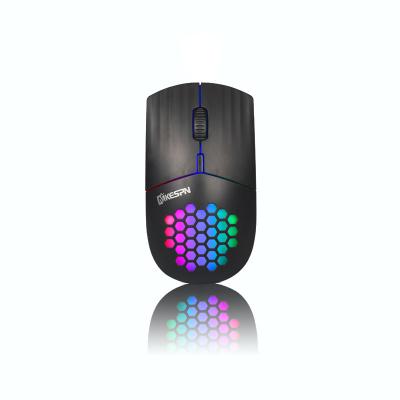 China 2.4G Portable Rechargeable Ergonomic Wireless Mouse RGB Backlit Honeycomb Hole Wireless Mouse for sale