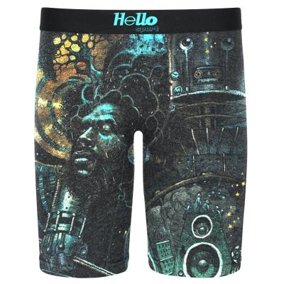 China Wholesale Hellosports breathable private label polyester print boys briefs shorts underwear custom boxer for men for sale