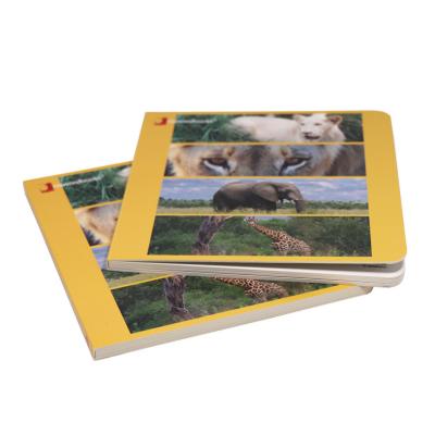 China Reading Customized High End Full Color Printing Hardcover Panel Book for sale