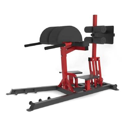 China Functional Roman Bodybuilding Trainer Riot GHD Machine Chair Gym Equipment For Fitness HRRK74 for sale