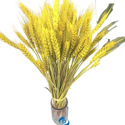 China New wholesale plastic plastic natural dry flower dried wheat for weeding decoration for sale