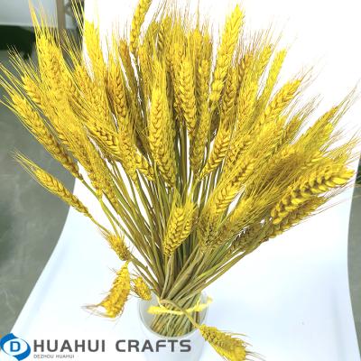 China Hot Selling Plastic Dried Flowers Dried Wheat For Home Decor for sale