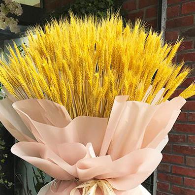 China Hot Sale Plastic Straw Decor Flowers Bouquet Dried Plastic Wheat Flowers Natural Wheat for sale