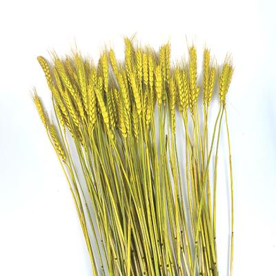 China Plastic Wheat Flower Plastic Dry Basket For Household Flower Arrangement Or Open Flower for sale