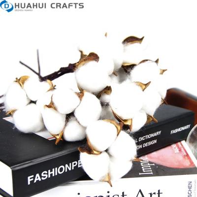 China Wholesale Plastic Cotton Plant Supply Dry Flower For Christmas Decoration Arrangement Flower Bouquet for sale