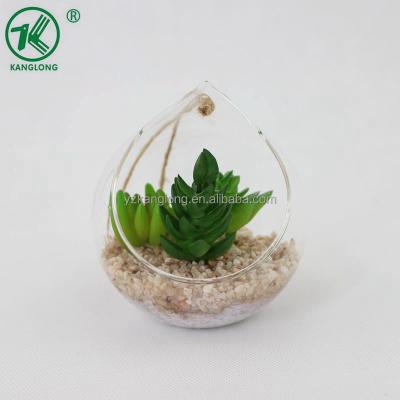 China New Minigreen Europe Natural Plant Multi - Meat Design High Transparency Pyrex Glass Dome With Base For Home Decoration for sale