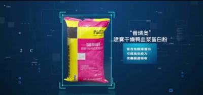 China Polvo secado a presión de aire sólido amarillento de la proteína del plasma de la materia prima del polvo de la proteína en venta